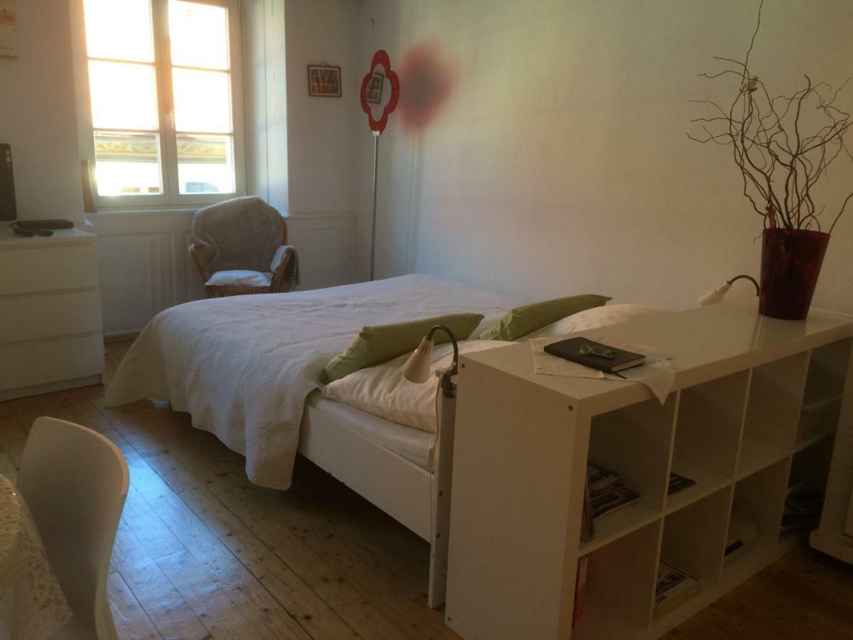 Apartmán Zum Gruenen Lindenbaum Z5B Kostnice Exteriér fotografie